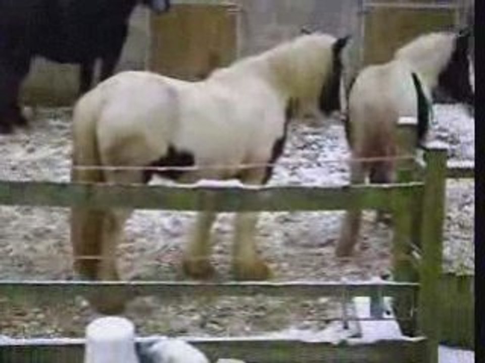 Upstar decembre2008