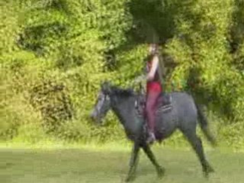 été_2008_