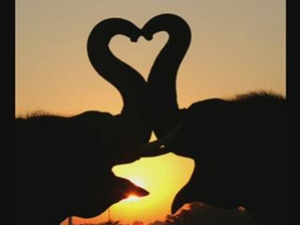 Les Belles Histoires d'Amour - Kaysha