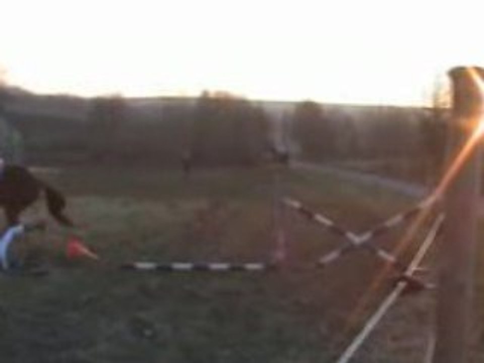 Chute sandrine