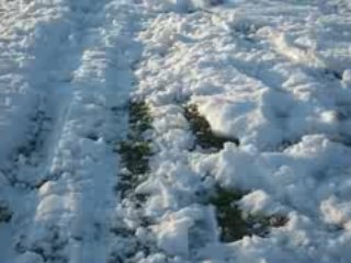 Coraline et Perrine faisant de la luge