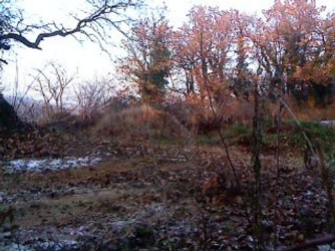 Saut en 125 CR cross