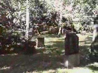 BLOOD - The FuneraL For Humanity