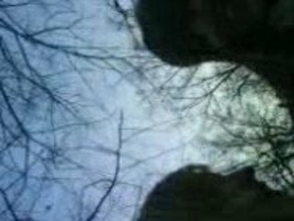 Celine , moi