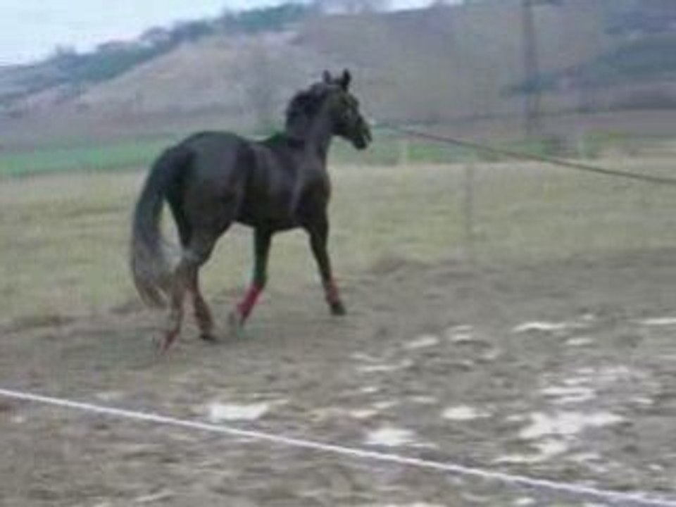DSCN2912