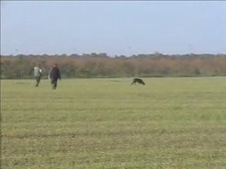 Lola di Altobello tracking IPO-1 Subotica  Serbia