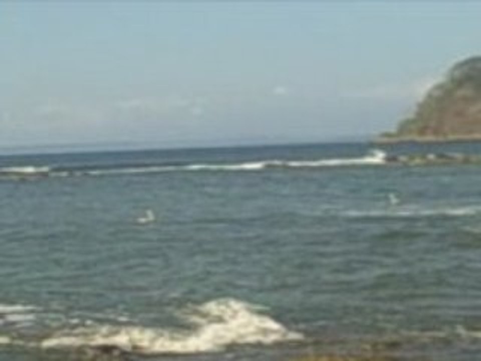 Nature in Playa Blanca, Costa Rica