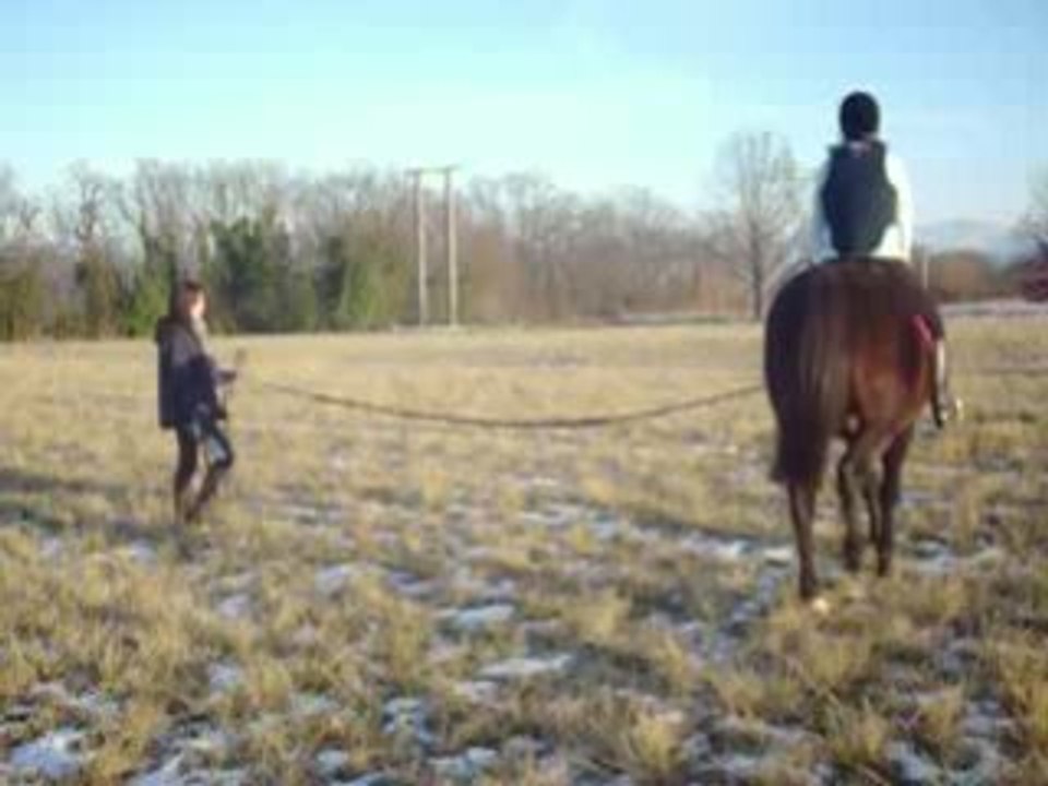 chevaux