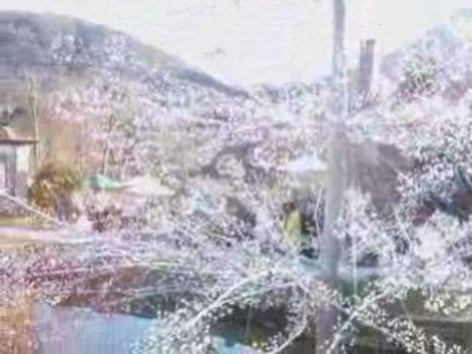 Japan 2009