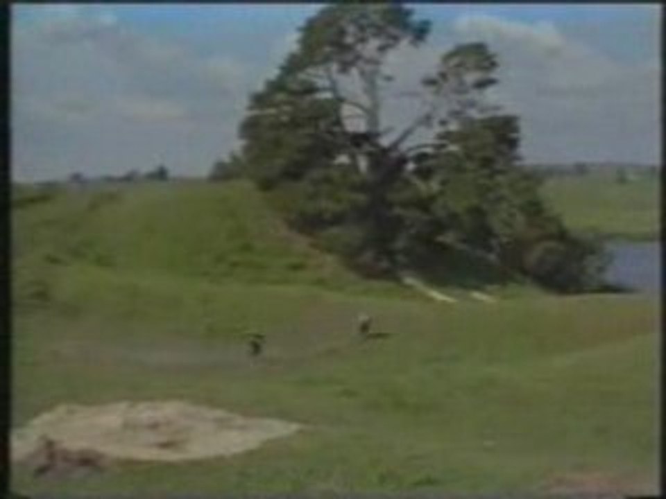 Crusty demons fmx freeride