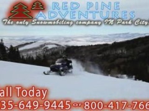 Park City Utah Snowmobiling Rental Guided Tours Red Pine