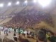 Panathinaikos ultras Gate13 Chant Supporter : PAO gera