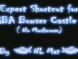 Mario Kart Wii - Nex Expert Shortcut for GBA Bowser Castle 3