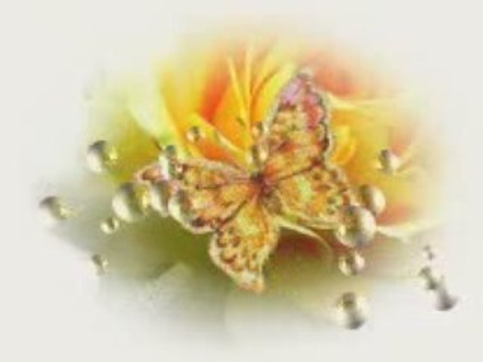 To bals ton oniron yann-tiersen