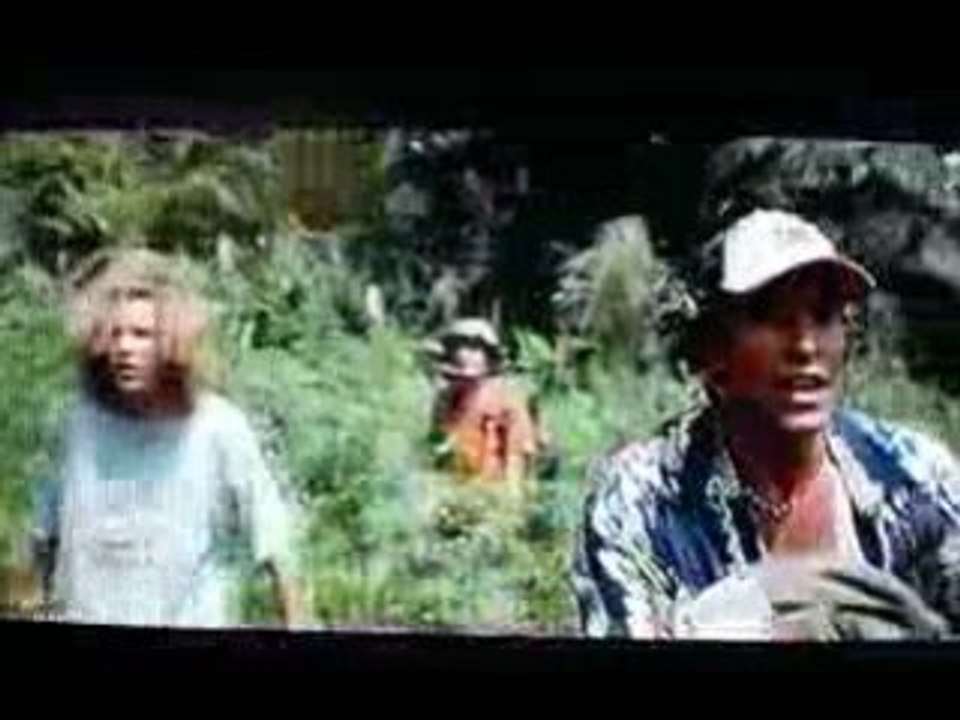 La plage (1 extrait du film) :