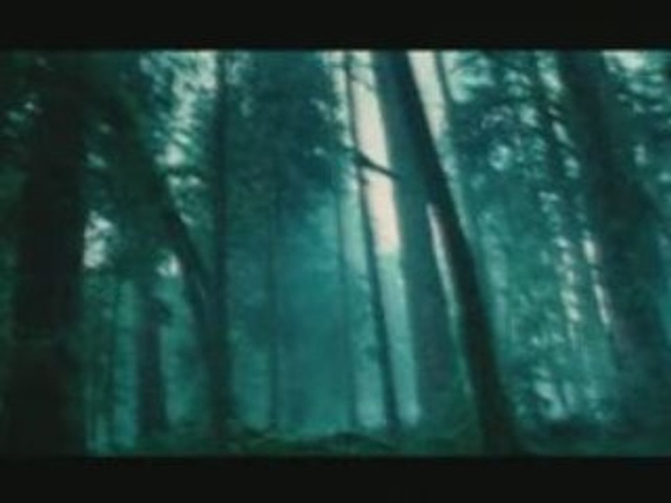 Extrait 4 TWILIGHT