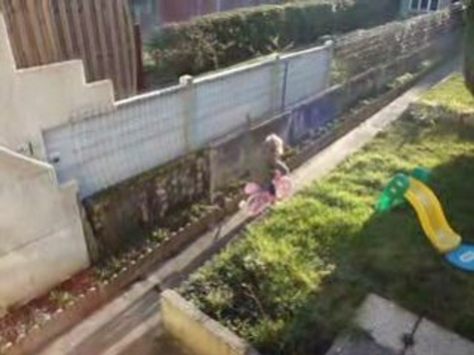 MOV01254
