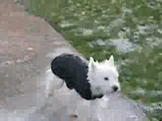 Danette fait sa fofolle dans le jardin