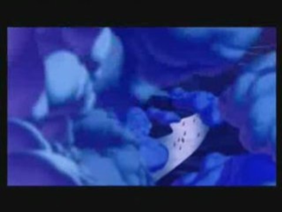 A whole new world