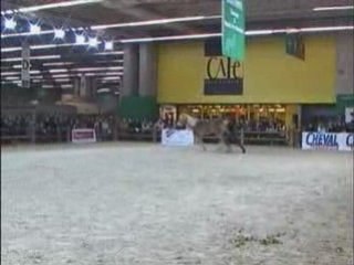 Pauline longue renes