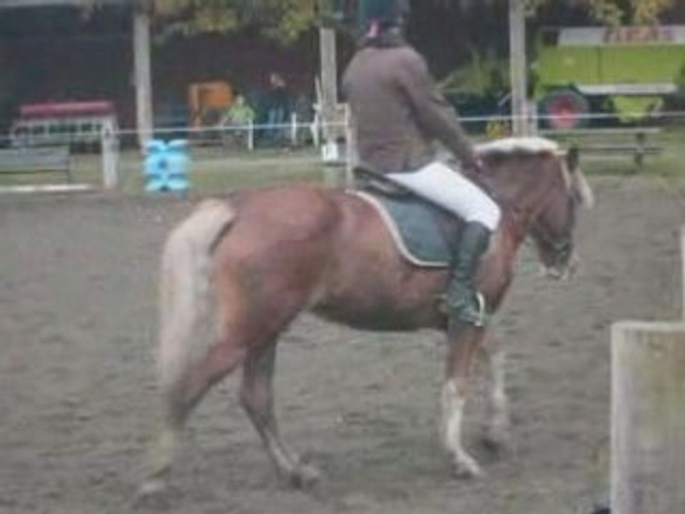 galop 6 dressage