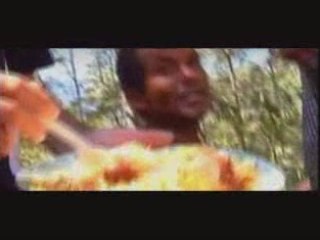 GRR2008-(journal RFO)