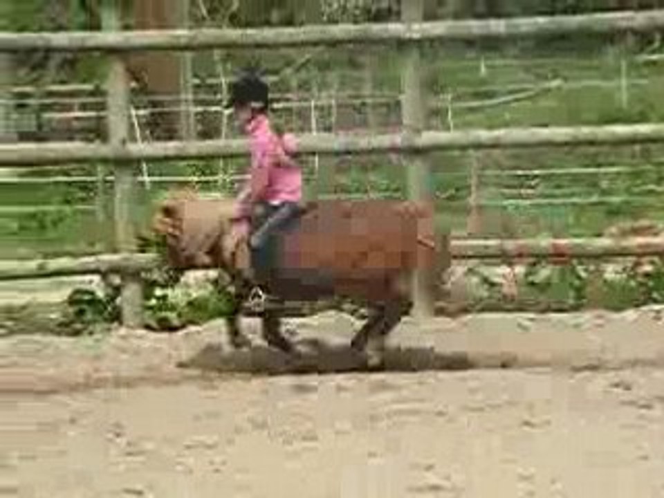 Ma soeur et polisson