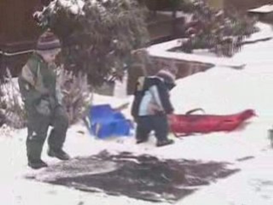 Jardin eneige - jan 09