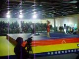 sanda : france vs vietnam -60kg junior round 2