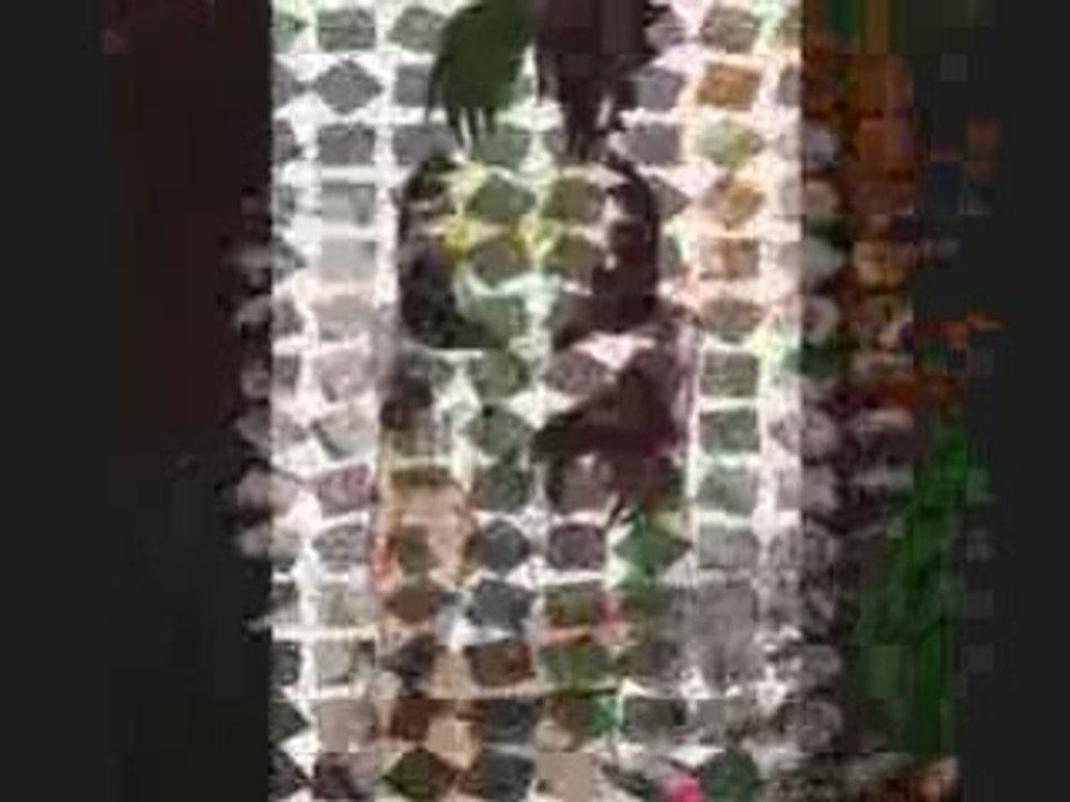 Untitled_0001