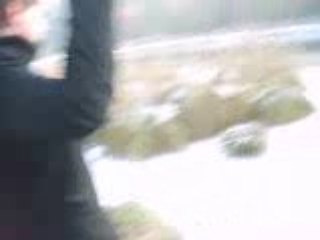 vred époque glaciére