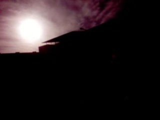 manifestion a toulon pour la palestine 10/01/09