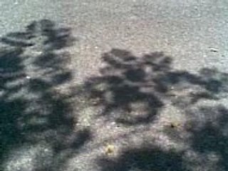 OMBRES