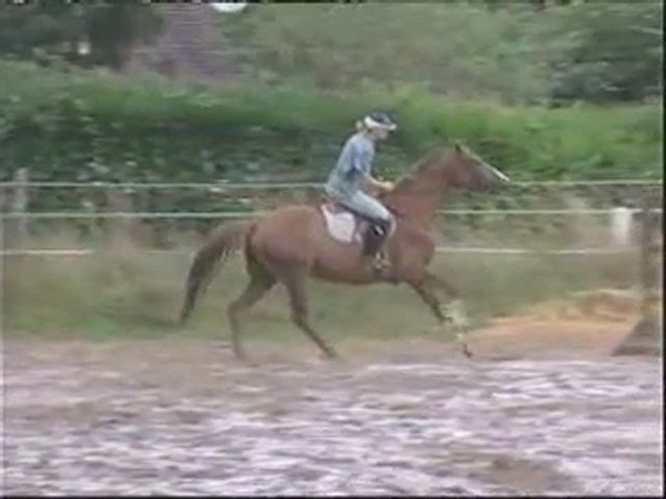 Equilibre du cavalier (suite) d'Orgeix