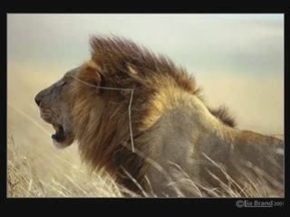 The Itals - Jah Glory