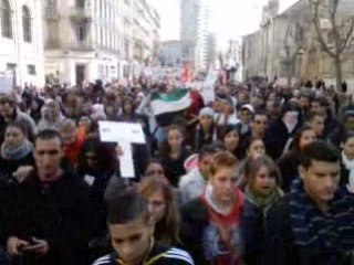 manifestion a toulon pour la palestine 10/01/09