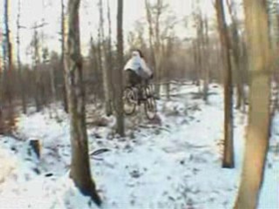 Session crones 11.01.09