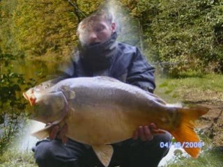 Mes poissons saison 2008