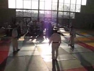 coupes des ceinture noire  (la brute)  maigret julien PARTI1