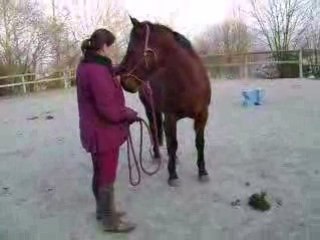 Phoebus Reculotte - Petite séance Ethologie