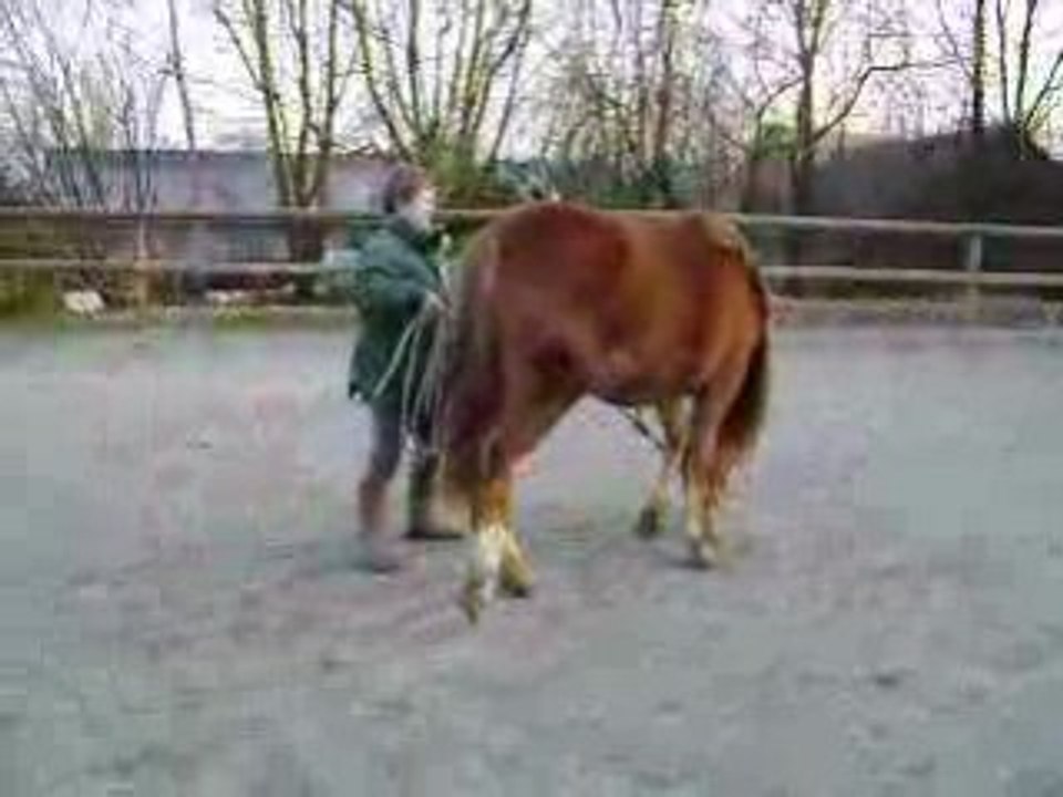 Thalya et nos débuts en Ethologie