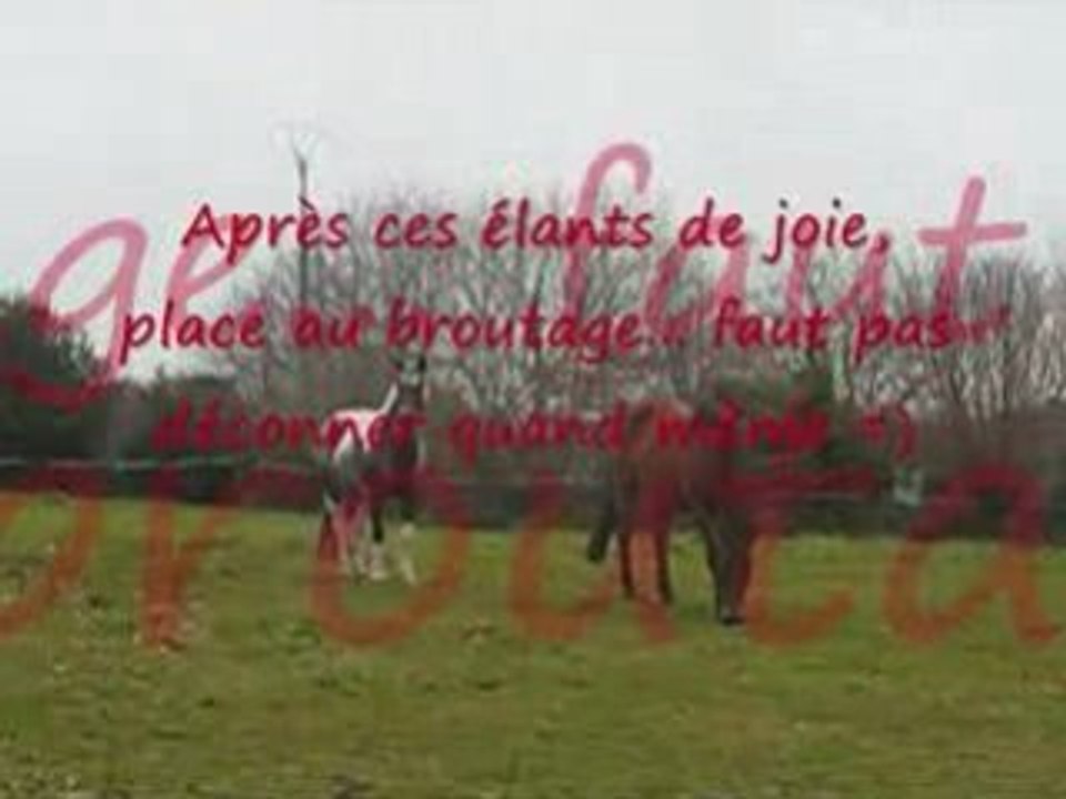 Changement de pré - Hiver 08.09