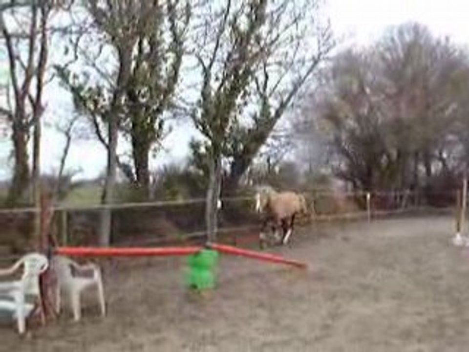 Films janvier 2009 020