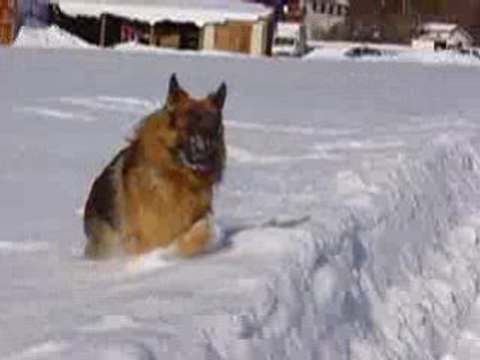 2009.01.11 greolieres- les- neiges 018