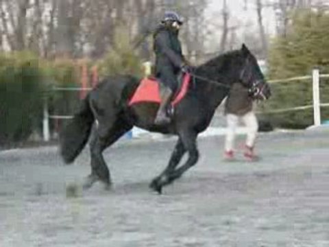 Galop Carole
