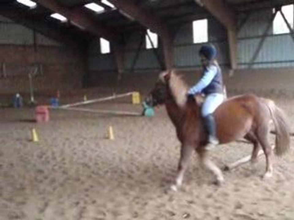Pony-Games A Cru