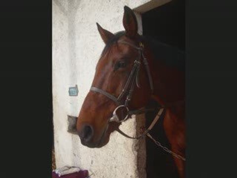 challenge au ecurie du clos avec Krack et Latina