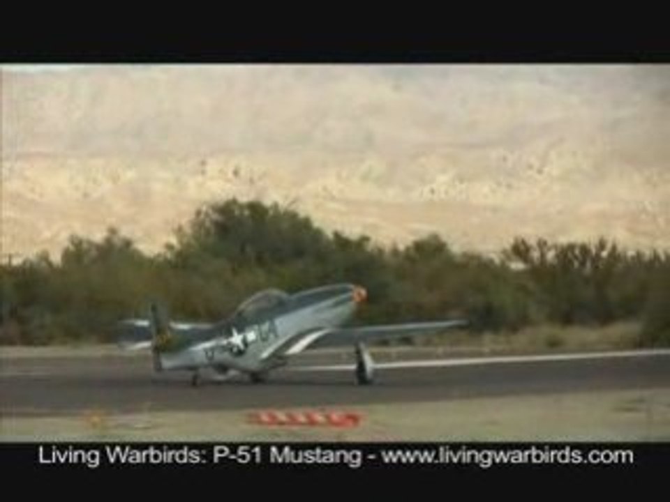 P-51 Mustang "Wee Willy" - Living Warbirds: Raw Action