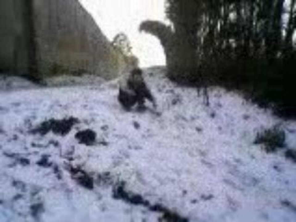 Les rois de la gliss4J