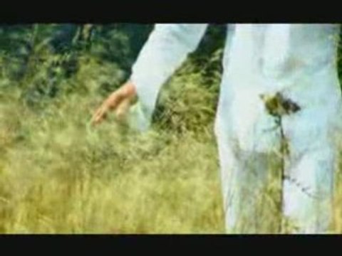 Георги Христов - Камино.flv